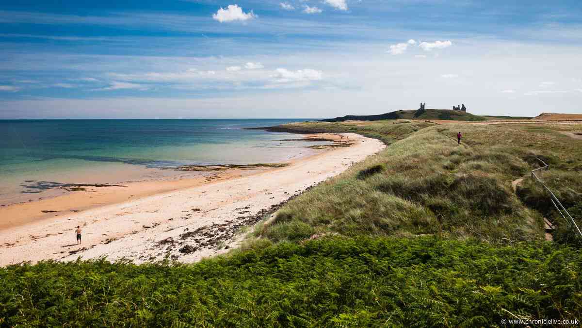 'One of UK's loveliest beaches' with crystal waters is hidden just 1 hour from Newcastle