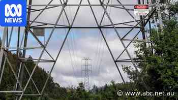 Closure of major industrial companies risks hit to Tasmanians' power bills