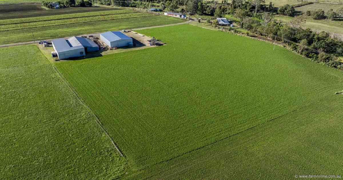 Highly efficient irrigation operation sold under the hammer | Video