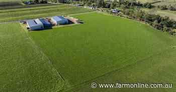 Highly efficient irrigation operation sold under the hammer | Video