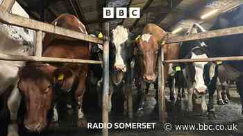 Farmwatch