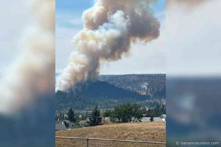 UPDATE: Evacuation alert issued due to 88-hectare wildfire near Logan Lake