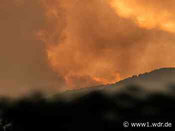 NRW-Feuerwehren helfen beim Waldbrand in Spanien