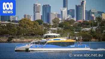 Brisbane's CityCat service will stop during peak hour Friday for industrial action