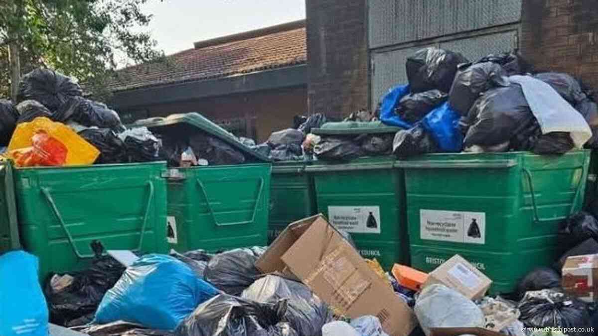 South Bristol apartment complex plagued by overflowing bins and rats