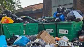 South Bristol apartment complex plagued by overflowing bins and rats