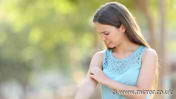 New antihistamines alert for one group in UK as 'no benefit' found