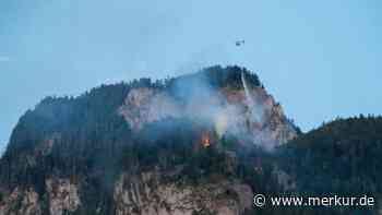 Waldbrand in Oberbayern ausgebrochen: Großeinsatz der Feuerwehr läuft – Warnung an Bevölkerung