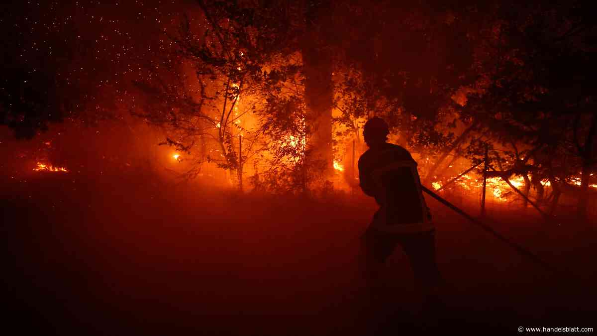 Versicherer: Milliardenschäden durch Waldbrände – Chefklimatologe der Munich Re erklärt, was nun passieren muss