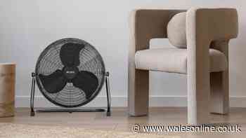 Healthcare worker loves fan that pulls in cool air 'like air-conditioning' in heatwave