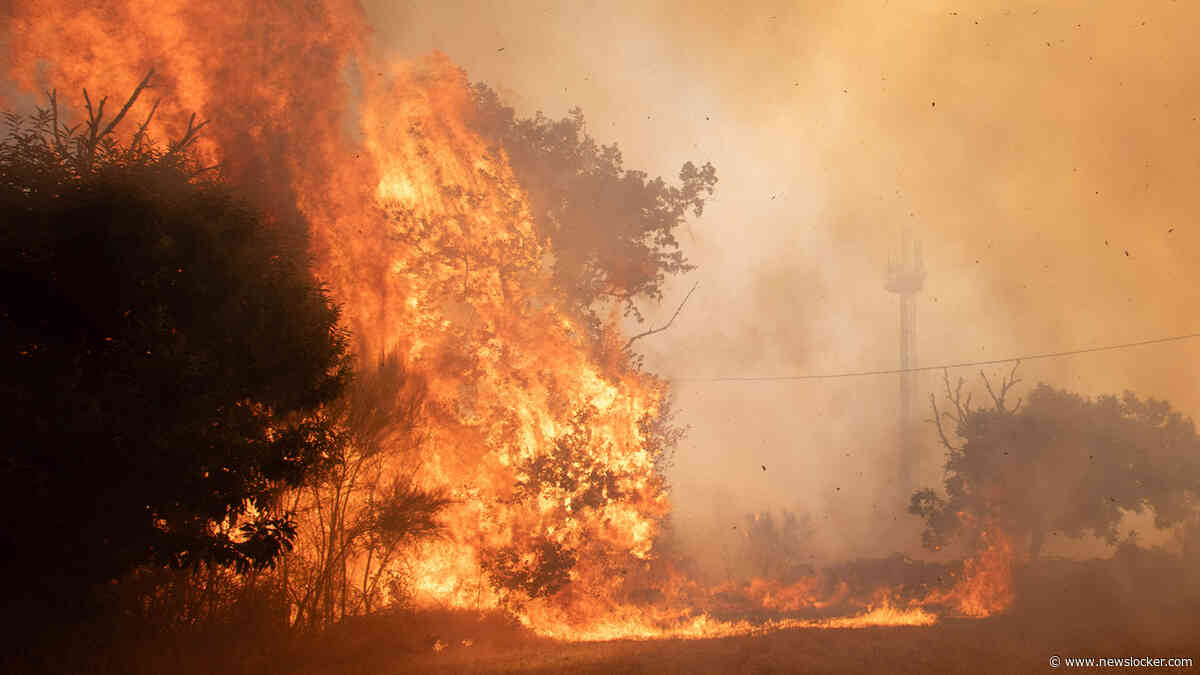 Van vonkje tot vuurzee: zo ontstaat een bosbrand