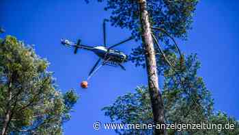 Bergwald in den Chiemgauer Alpen brennt im Gipfelbereich