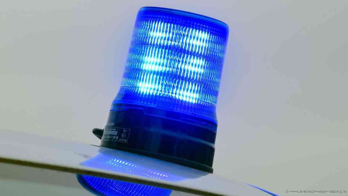 Hund beißt und verletzt Frau in Braunschweig – Halter flüchtet