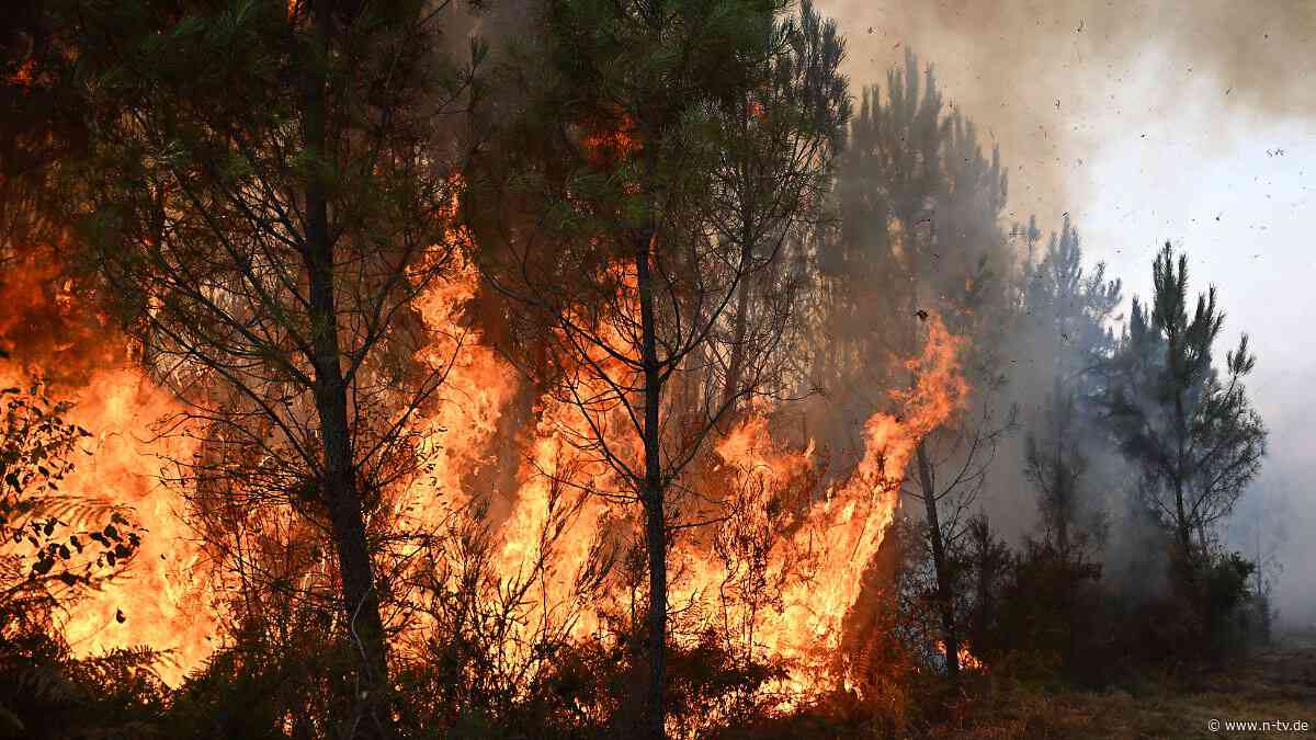 Tausende Menschen evakuiert: Neue Waldbrände flammen in Südeuropa auf