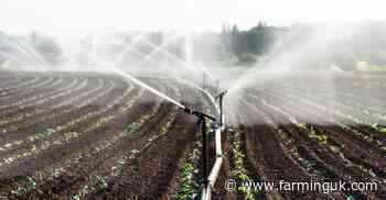 Retail bosses demand targets to boost British-grown food
