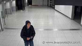 Norwegian teen flew to UK with assassination instructions from 'Agent 47'