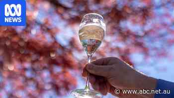Aussie wine exports plunge as drinkers cut back worldwide