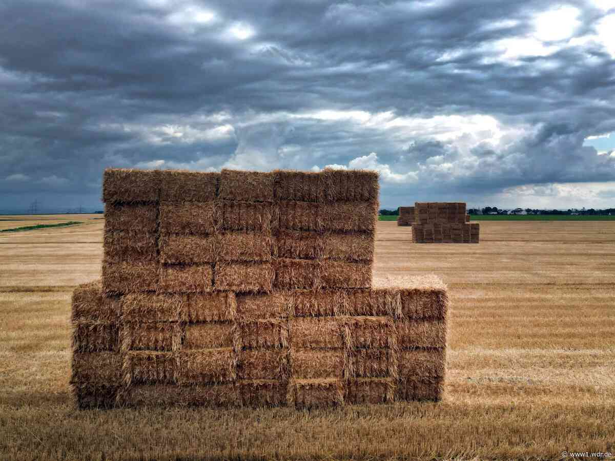Wetter in NRW: Unwetter nach Hitze - die Lage im Ticker