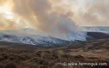 'Government is playing with fire' over moorland burning ban