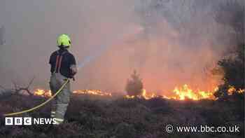 Homes and caravan park evacuated due to major heath fire in Suffolk