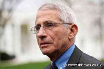Fauci's Fifth Amendment Silence Could Not Hide Stress Signals, Body Language Experts Claim