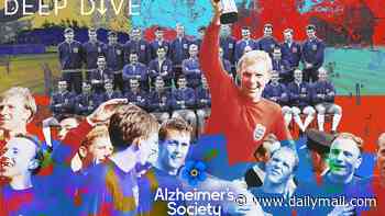 Sixty years on from THAT World Cup final... what happened to England's 1966 heroes?