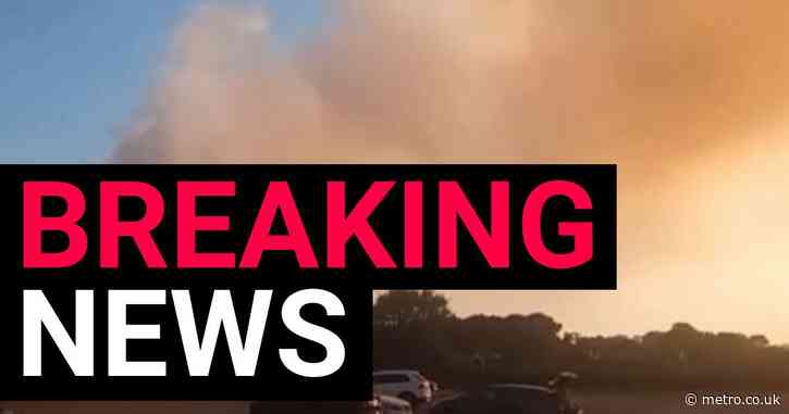 Wildfire breaks out four miles from nuclear plant sparking evacuation of homes in Norfolk