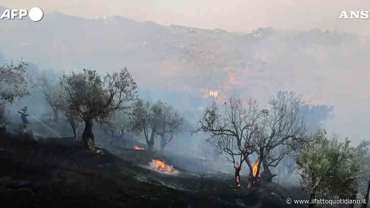 Incendi in Grecia, 8mila persone evacuate durante la notte a Creta: “Situazione fuori controllo”