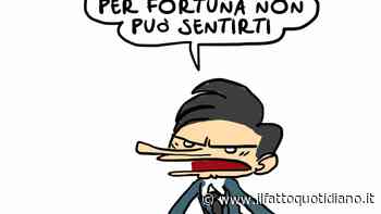 Grillo contro il M5s