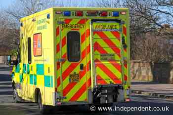Boy, 12, falls to his death after climbing onto barn roof with friends