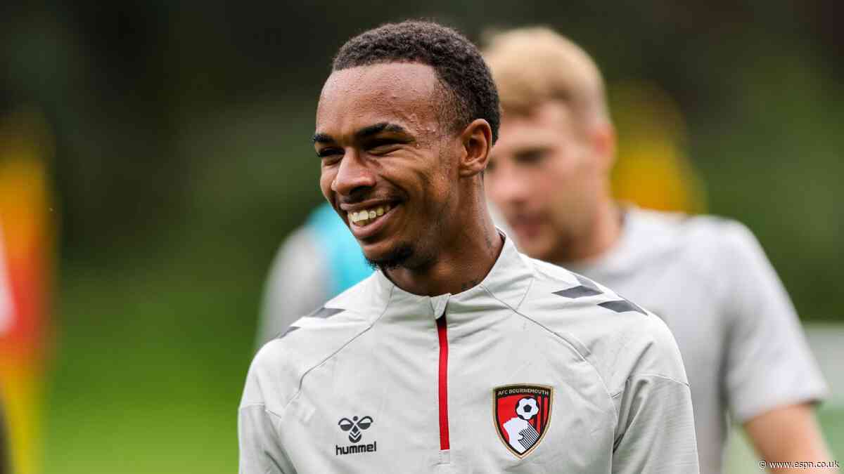 Bournemouth's Kroupi suffers injury blow