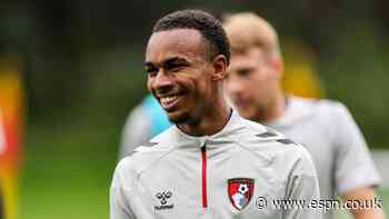 Bournemouth's Kroupi suffers injury blow