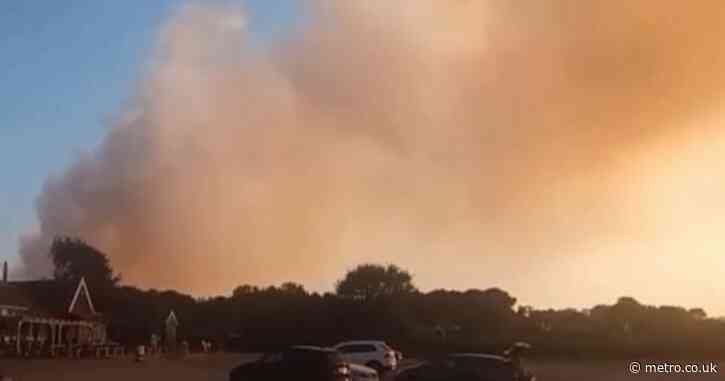 Wildfire breaks out four miles from nuclear plant sparking evacuation of homes in Suffolk
