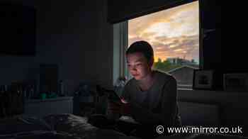 Keeps rooms cool with 'sunset rule' approved by Which? experts