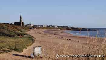 More than 1,000 volunteers in 'race against tide' to clean up nurdles from North East beaches