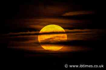 July's 'Buck Moon' Rises This Week: Why This Full Moon Could Look Different in the Sky