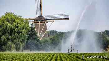 Watersysteem lijdt onder aanhoudende droogte: tekort van 28 emmers per vierkante meter