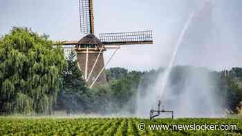 Watersysteem lijdt onder aanhoudende droogte: tekort van 28 emmers per vierkante meter