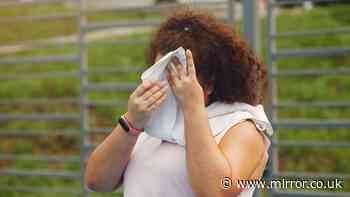 'Significant danger' warning as UKHSA confirms 2,877 UK deaths