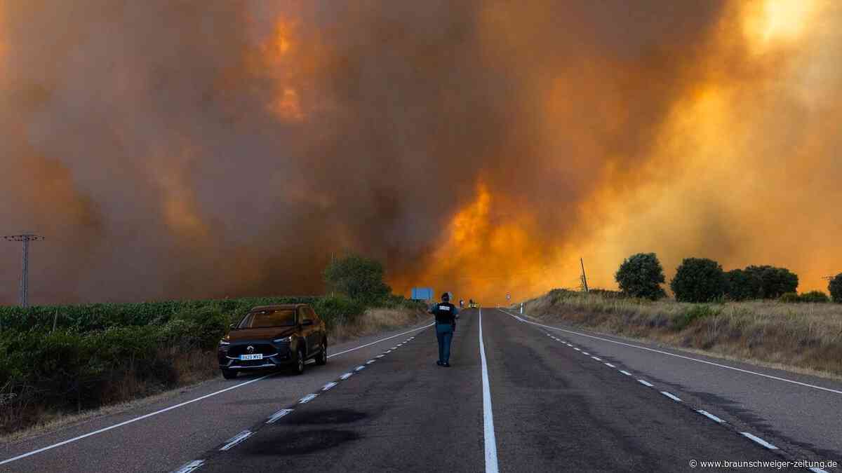 Urlaub stornieren wegen Waldbrand: Diese Rechte haben Reisende