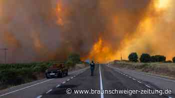 Urlaub stornieren wegen Waldbrand: Diese Rechte haben Reisende