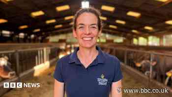 Two cows that launched a family farming legacy