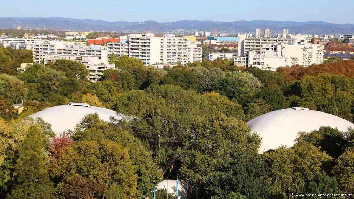 Ein Weltrekord aus Holz mitten in Mannheim