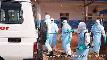 Mehr als 1.500 Tote bei Ebola-Ausbruch im Kongo