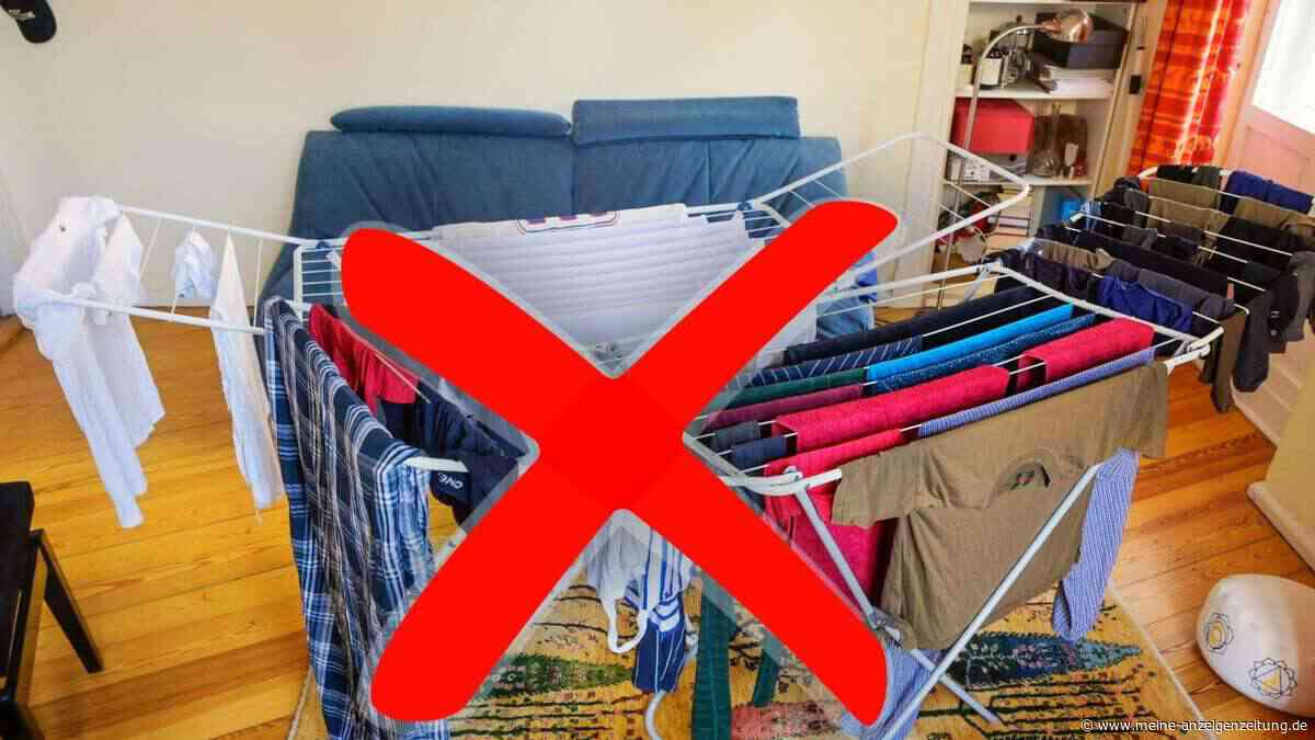 Wäsche trocknen in kleinen Wohnungen – dieser Wäscheständer macht den Unterschied