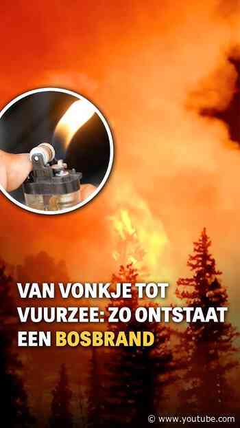 Zo ontstaat een bosbrand