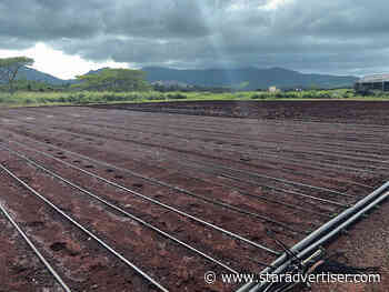 Farms hit by Kona Low urged to apply for aid