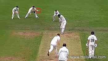 Up to his old clicks? Local 'Clicky Ponting' cricket player at centre of 'cheat' row 'used same ploy at previous club'