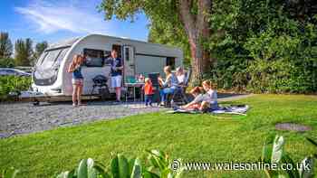 31 outstanding Welsh campsites including one where you can see monkeys and giraffes