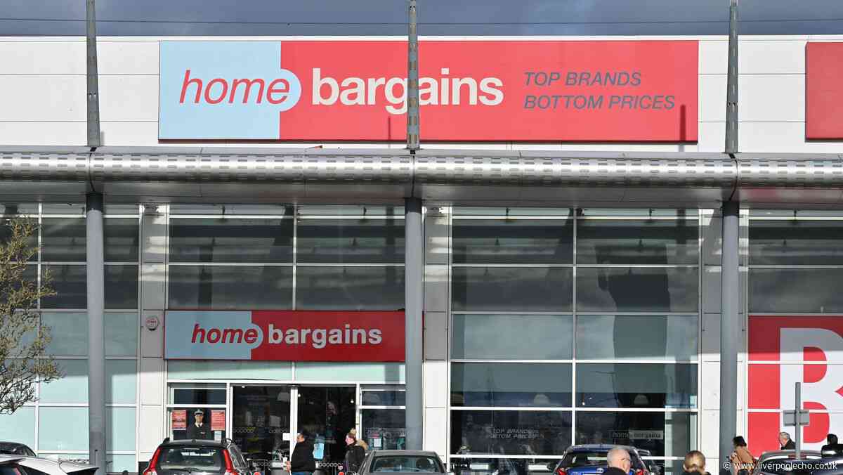 'Stylish' £13 Home Bargains backpack 'ideal for Ryanair and easyJet' flights